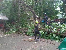 Pohon Tumbang di Wisata Sumber Cakarsi Kota Kediri, Sejumlah Fasilitas Rusak