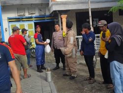 Sarang Tawon Vespa Resahkan Warga Kaliombo, Bhabinkamtibmas dan Damkar Bergerak Cepat