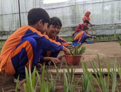 KKN Umsida Resmikan Wisata Edukasi Nanas di Ngancar, Dorong Ekonomi Warga