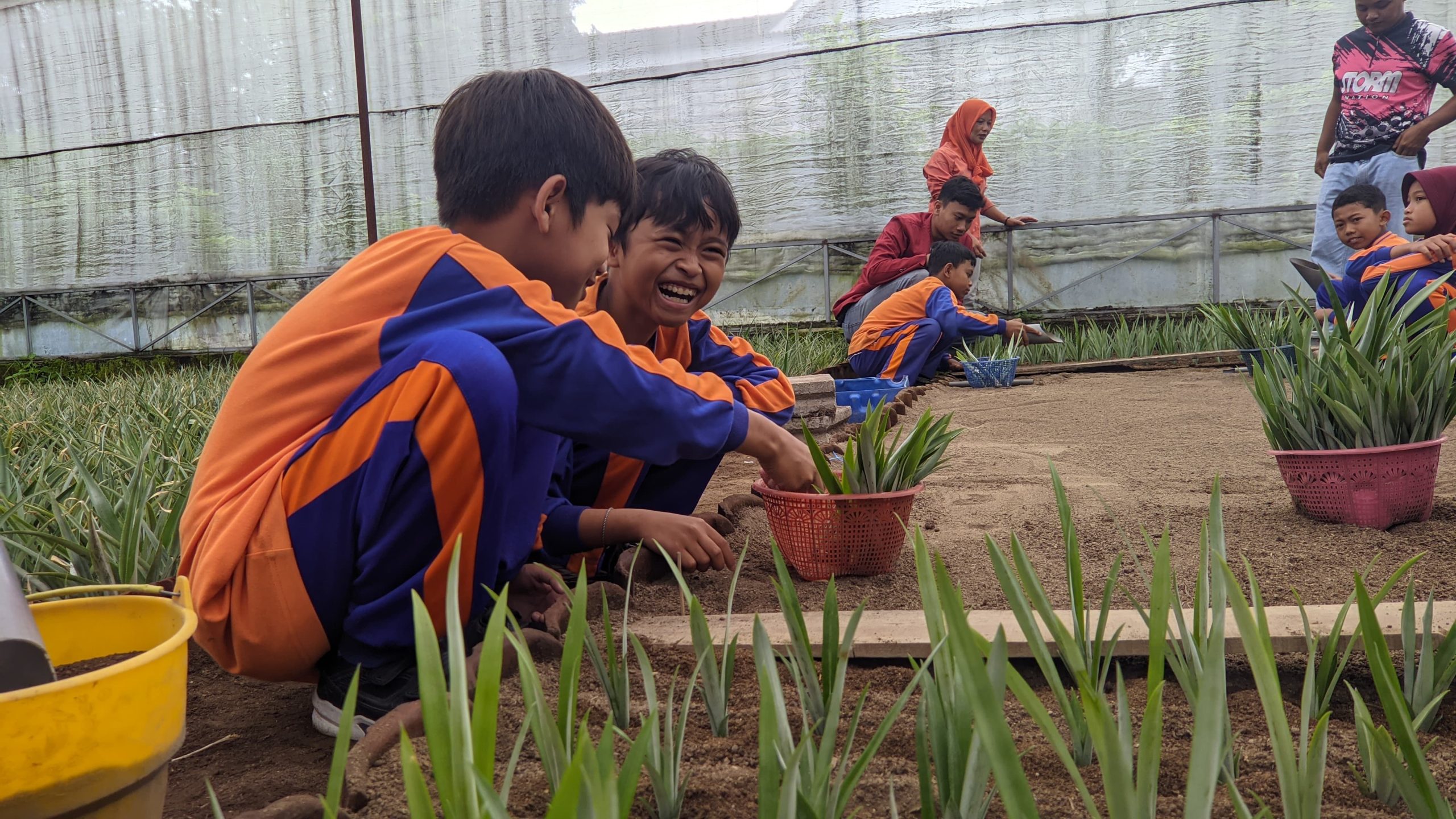 KKN Umsida Resmikan Wisata Edukasi Nanas di Ngancar, Dorong Ekonomi Warga