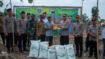 Dukung Ketahanan Pangan, Kapolres Jombang Serahkan Benih Jagung ke Petani Hutan
