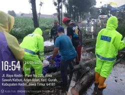  Pohon di Adan-Adan, Gurah, Kediri Tumbang Timpa Pengendara, Satu Orang Tewas dan Satu Luka Parah