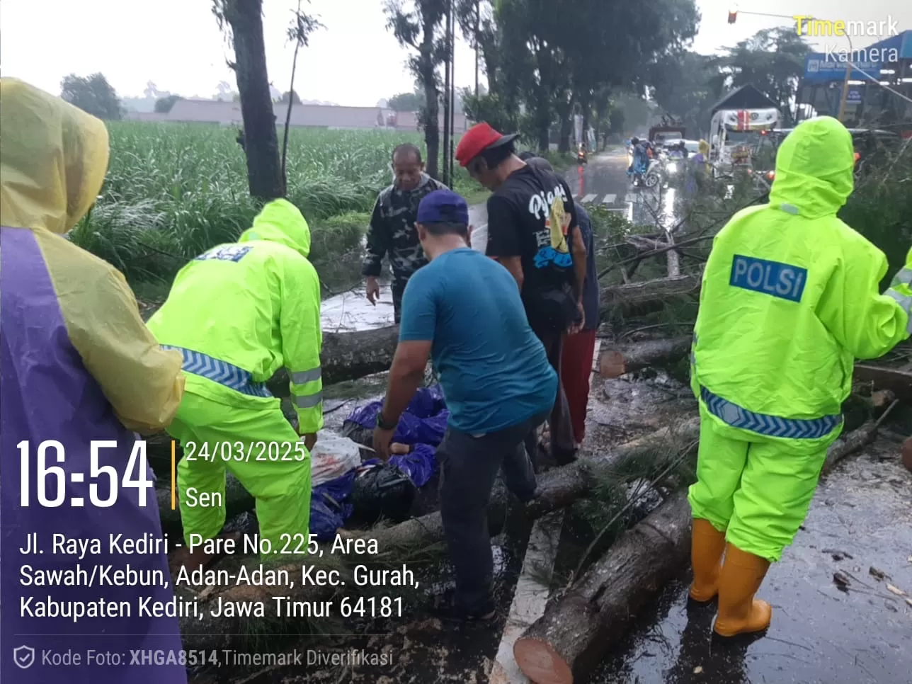  Pohon di Adan-Adan, Gurah, Kediri Tumbang Timpa Pengendara, Satu Orang Tewas dan Satu Luka Parah