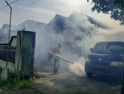 Kasus Chikungunya di Tulungagung Melonjak, Dinkes Imbau Warga Waspada!