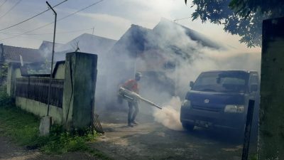 Kasus Chikungunya di Tulungagung Melonjak, Dinkes Imbau Warga Waspada!