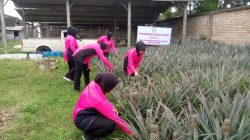 Bhayangkari Ranting Kandat Dukung Ketahanan Pangan Lewat Pekarangan Pangan Lestari