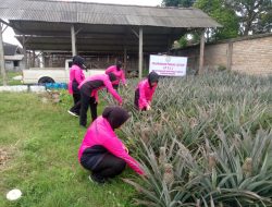 Bhayangkari Ranting Kandat Dukung Ketahanan Pangan Lewat Pekarangan Pangan Lestari