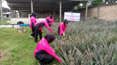 Bhayangkari Ranting Kandat Dukung Ketahanan Pangan Lewat Pekarangan Pangan Lestari