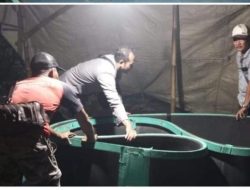 Polsek Ngronggot Bongkar Arena Judi Sabung Ayam di Pekarangan Kosong