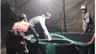 Polsek Ngronggot Bongkar Arena Judi Sabung Ayam di Pekarangan Kosong