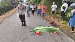 Polisi saat olah tempat kejadian perkara kecelakaan maut. (Ziz)