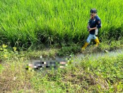 Misteri Kematian Lansia di Irigasi Sawah Tulungagung, Warga Curigai Tabrak Lari!