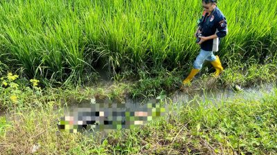 Misteri Kematian Lansia di Irigasi Sawah Tulungagung, Warga Curigai Tabrak Lari!