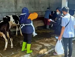 Pemprov Jatim Salurkan 8.000 Dosis Vaksin Khusus untuk Sapi Perah di Kediri