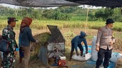 Bhabinkamtibmas Puhrubuh Ajak Petani Jual Padi ke Bulog untuk Hindari Permainan Tengkulak