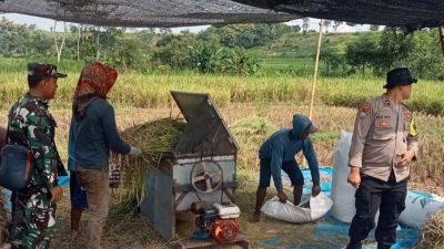 Bhabinkamtibmas Puhrubuh Dorong Petani Jual Padi ke Bulog untuk Hindari Permainan Tengkulak