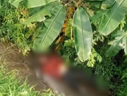 Petani Temukan Mayat di Sungai Wates, Polisi Selidiki Identitas Korban