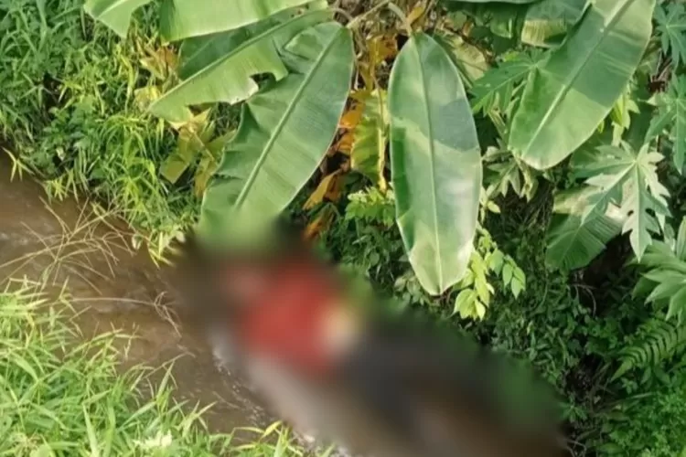 Petani Temukan Mayat di Sungai Wates, Polisi Selidiki Identitas Korban
