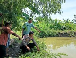 Warga Lansia di Sidogembul Lamongan Ditemukan Tewas Tenggelam di Kolam Dekat Rumah