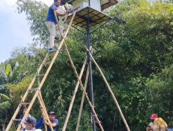 Dispertabun Tegaskan Tyto Alba Masih Ampuh Kendalikan Hama Tikus di Sawah