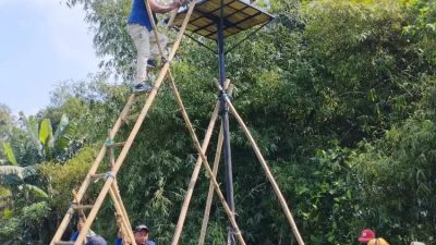 Dispertabun Tegaskan Tyto Alba Masih Ampuh Kendalikan Hama Tikus di Sawah