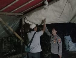 Polisi Gerebek Arena Sabung Ayam di Ngronggot, Pelaku Kabur Sebelum Ditangkap