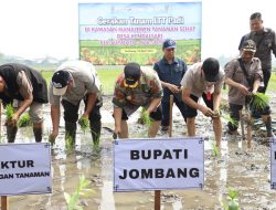 Ubah Pola Pikir Petani, Pemkab Jombang Dorong Budidaya Padi Ramah Lingkungan