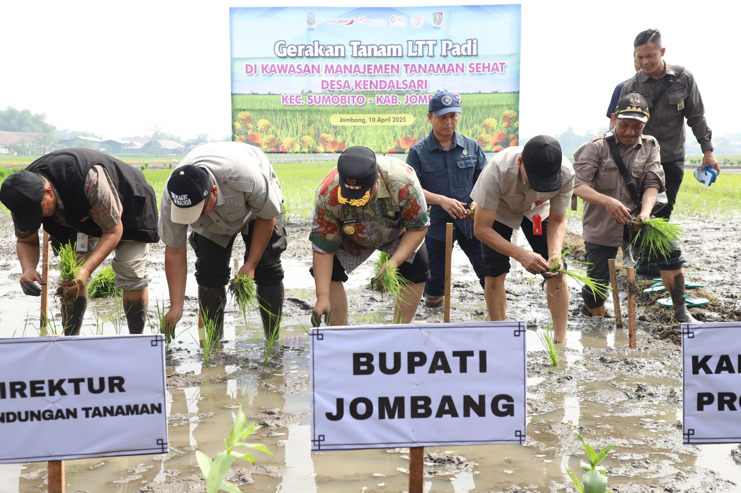 Ubah Pola Pikir Petani, Pemkab Jombang Dorong Budidaya Padi Ramah Lingkungan