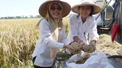 Wabup Kediri Hadiri Panen Padi Serentak di Nambaan, Dukung Program Swasembada Pangan Nasional