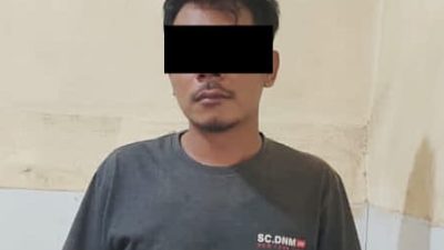 Aksi Curi Alpukat di Malang Terbongkar, Pelaku Ternyata Bukan Warga Lokal