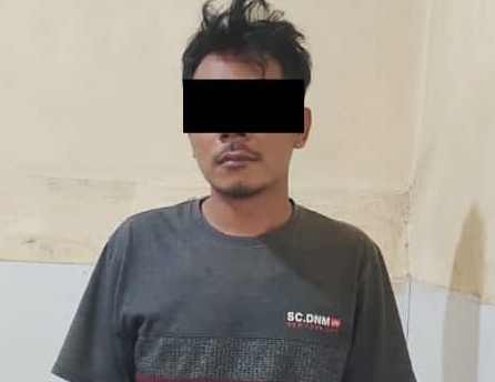 Aksi Curi Alpukat di Malang Terbongkar, Pelaku Ternyata Bukan Warga Lokal