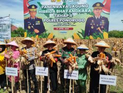 Panen Jagung Bhayangkara di Ponorogo Capai 10,9 Ton per Hektare, Kapolres Tegaskan Dukung Program Ketahanan Pangan Nasional