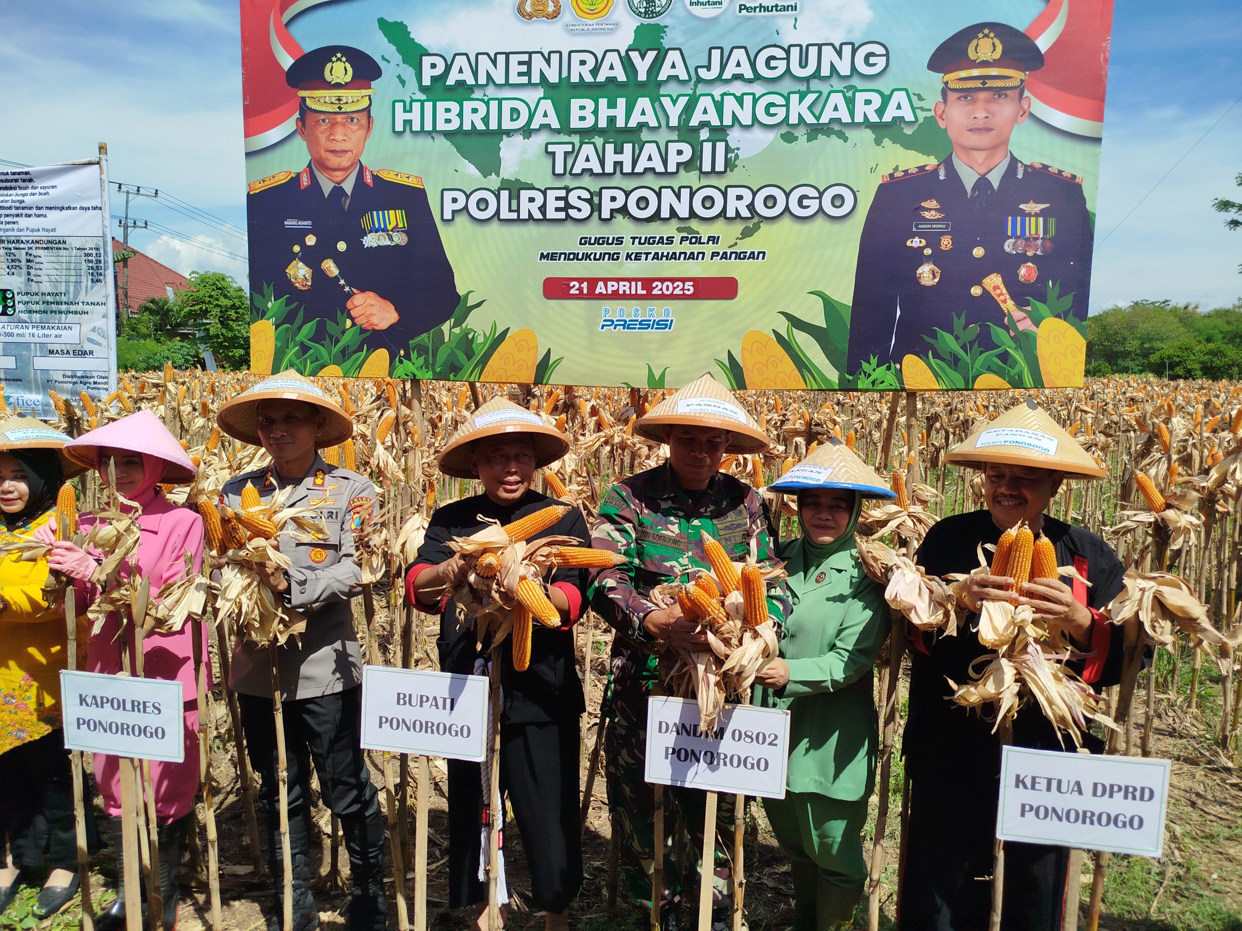 Panen Jagung Bhayangkara di Ponorogo Capai 10,9 Ton per Hektare, Kapolres Tegaskan Dukung Program Ketahanan Pangan Nasional