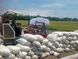 DPRD Apresiasi Surplus Padi Tahunan Kabupaten Kediri, Dorong Inovasi dan Kesejahteraan Petani
