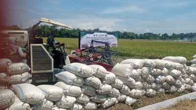 DPRD Apresiasi Surplus Padi Tahunan Kabupaten Kediri, Dorong Inovasi dan Kesejahteraan Petani