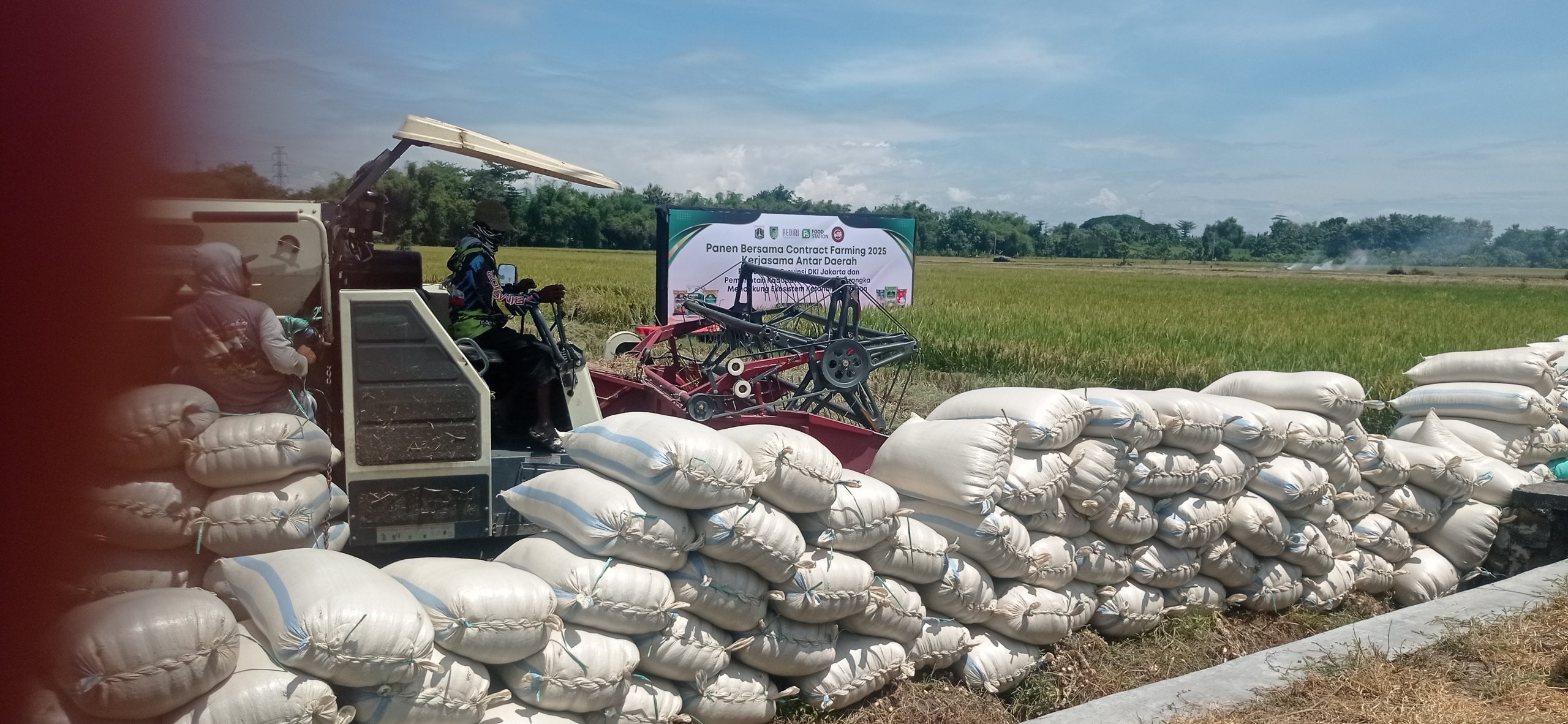 DPRD Apresiasi Surplus Padi Tahunan Kabupaten Kediri, Dorong Inovasi dan Kesejahteraan Petani