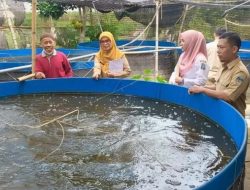 Musim Pancaroba, Dinas Perikanan Kediri Ingatkan Pembudidaya Ikan Jaga Kualitas Kolam