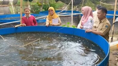 Musim Pancaroba, Dinas Perikanan Kediri Ingatkan Pembudidaya Ikan Jaga Kualitas Kolam