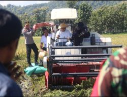 Ponorogo Optimis Surplus Beras, Targetkan Panen 76 Ribu Hektar Sepanjang 2025