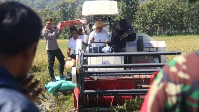 Ponorogo Optimis Surplus Beras, Targetkan Panen 76 Ribu Hektar Sepanjang 2025