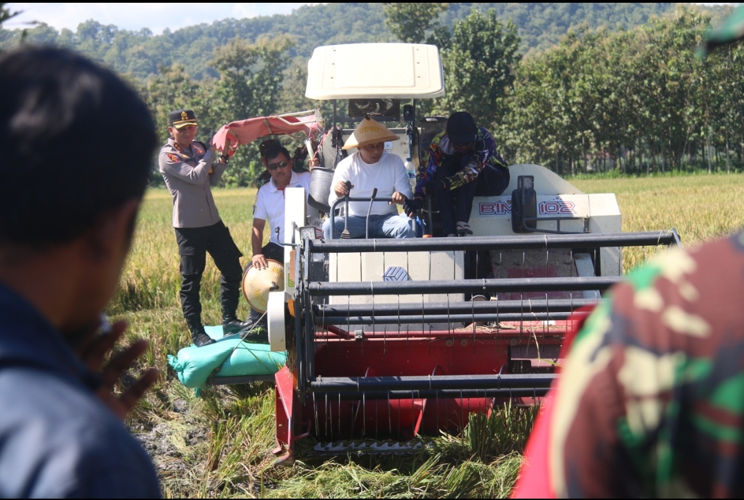 Ponorogo Optimis Surplus Beras, Targetkan Panen 76 Ribu Hektar Sepanjang 2025
