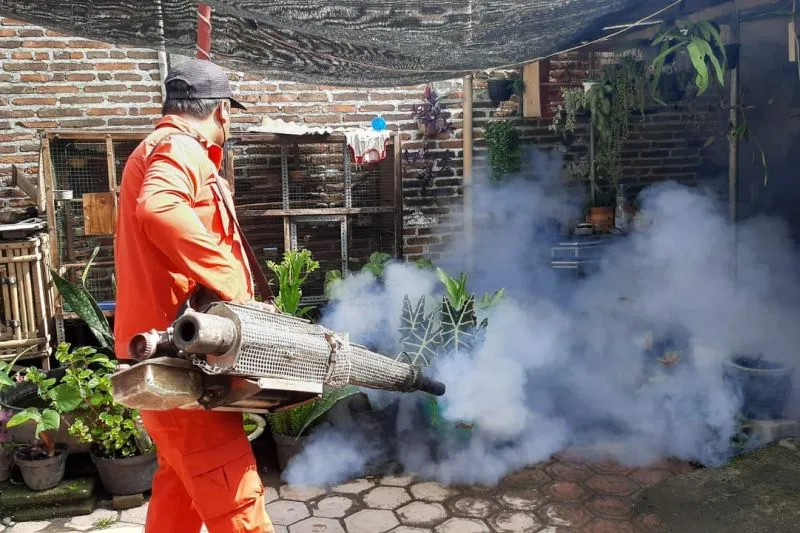 Tren Positif: Kasus DBD di Kota Batu Menurun Dibanding Tahun Lalu