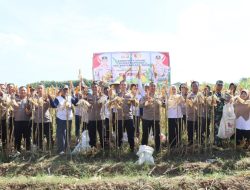 Polres Kediri Kota Gelar Panen Raya Jagung, Tegaskan Peran Aktif dalam Ketahanan Pangan