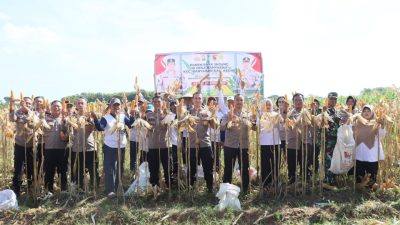 Polres Kediri Kota Gelar Panen Raya Jagung, Tegaskan Peran Aktif dalam Ketahanan Pangan