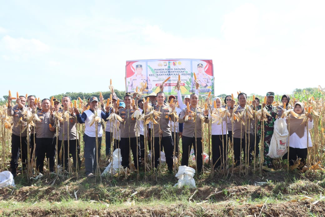 Polres Kediri Kota Gelar Panen Raya Jagung, Tegaskan Peran Aktif dalam Ketahanan Pangan