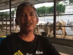 Yakin Aman, Ketua Poktan Banjarsari Desa Banjarejo, Ngadiluwih Tegaskan Pengelolaan Dana Hibah Program Korporasi Sapi Transparan