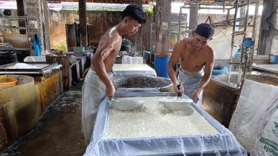 Harga Kedelai Naik, Produsen Tahu Blitar Kurangi Jumlah Produksi