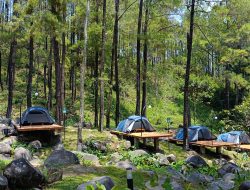 Intip 4 Opsi Glamping di Jolotundo Nganjuk, Ini Harga Terbaru Mulai Maret 2025