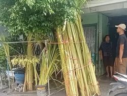 Penjualan Janur Mulai Ramai Jelang Lebaran Kupat, Pedagang: Alhamdulillah, Meski Tak Seramai Dulu