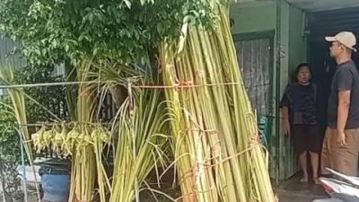 Penjualan Janur Mulai Ramai Jelang Lebaran Kupat, Pedagang: Alhamdulillah, Meski Tak Seramai Dulu